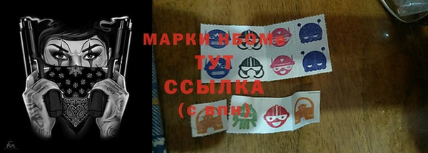 ГАЛЛЮЦИНОГЕННЫЕ ГРИБЫ Аркадак