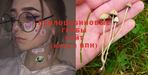 ГАЛЛЮЦИНОГЕННЫЕ ГРИБЫ Аркадак