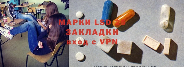 ГАЛЛЮЦИНОГЕННЫЕ ГРИБЫ Аркадак
