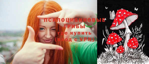 ГАЛЛЮЦИНОГЕННЫЕ ГРИБЫ Аркадак