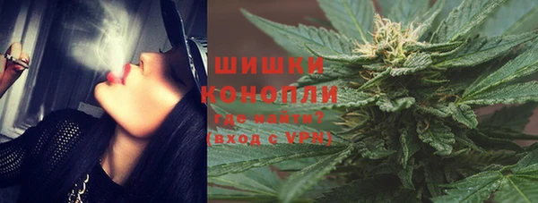 ГАЛЛЮЦИНОГЕННЫЕ ГРИБЫ Аркадак