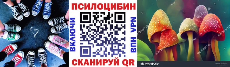 Галлюциногенные грибы Magic Shrooms  где продают   Голицыно 